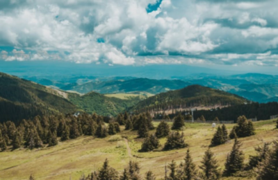 Nacionalni park Kopaonik krije više od 1.600 biljnih vrsta: Ovo prirodno bogatstvo oduševljava