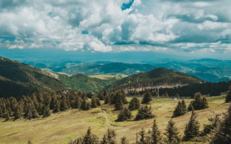 Nacionalni park Kopaonik krije više od 1.600 biljnih vrsta: Ovo prirodno bogatstvo oduševljava