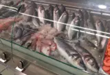 Sajbernapad uništio hranu u Francuskoj: Frižideri pregrejani na 50 stepeni