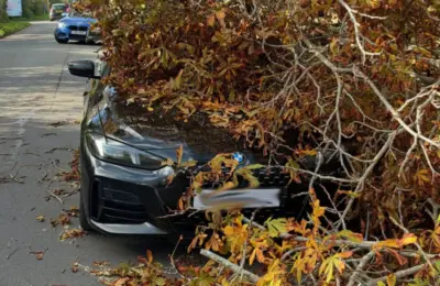 Snažne oluje blokirale Evropom: Hiljade domaćinsta bez struje, letovi otkazani