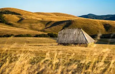 Strani gosti sve češće biraju Zlatibor: Interesovanje ne jenjava ni posle leta