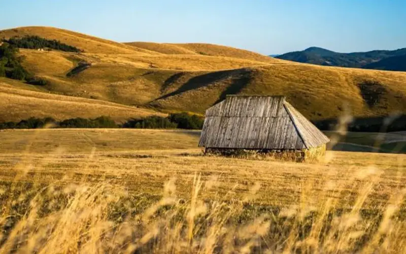 Strani gosti sve češće biraju Zlatibor: Interesovanje ne jenjava ni posle leta