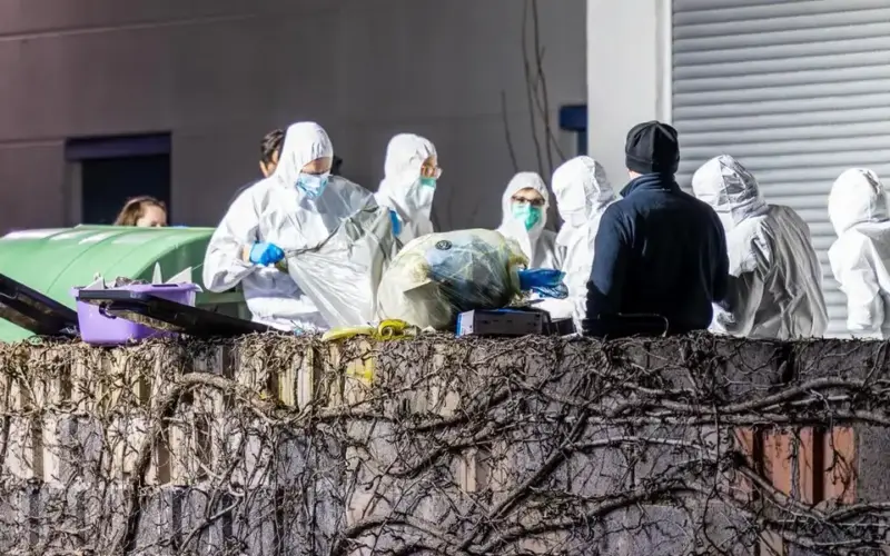 Užas u Nemačkoj: Osumnjičena da je klijenta ubila u satanističkom obredu